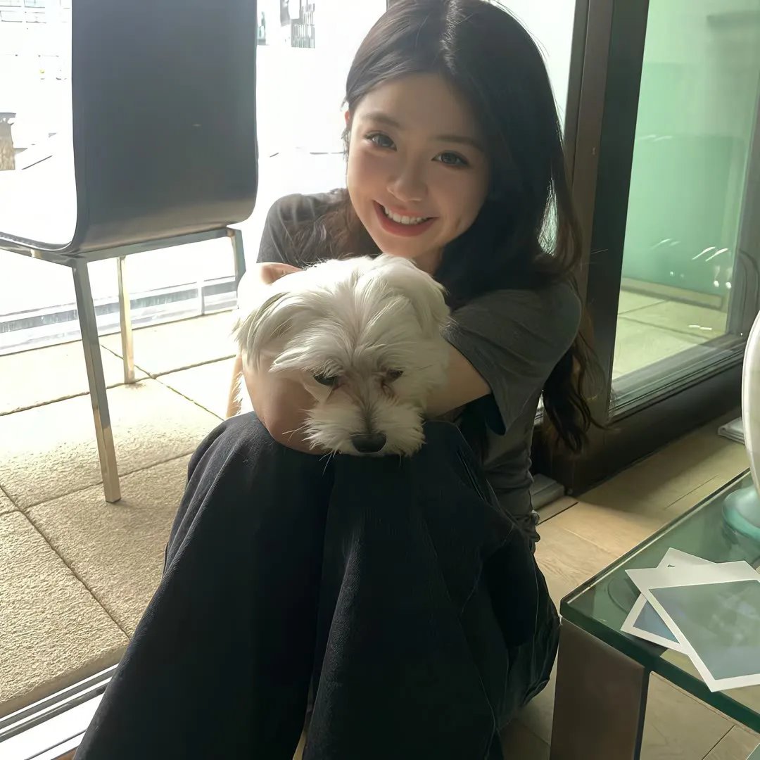 雾中之犬